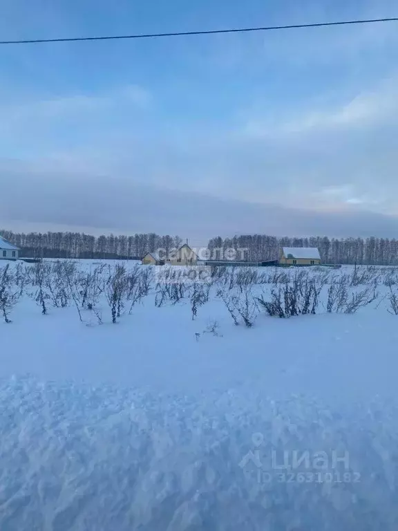 Участок в Башкортостан, Нуримановский район, Байгильдинский сельсовет, ... - Фото 2