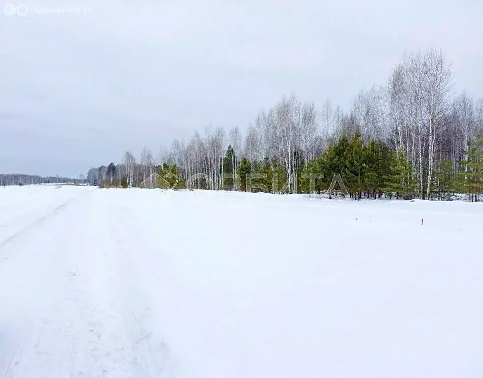 Участок в Тюменский район, деревня Чаплык (12 м) - Фото 0