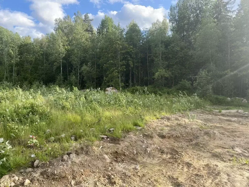 Участок в Ленинградская область, Выборг Красный Холм кв-л,  (10.0 ... - Фото 1