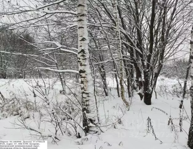 Участок в Московская область, Дмитровский муниципальный округ, д. ... - Фото 1
