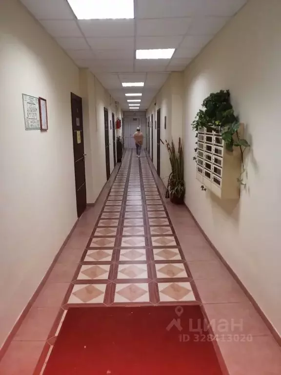 Офис в Московская область, Кашира Стрелецкая ул., 70 (24 м) - Фото 1