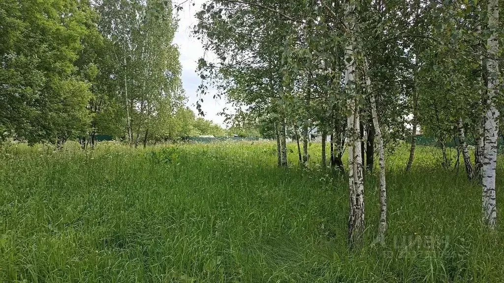 Участок в Московская область, Домодедово городской округ, с. ... - Фото 2