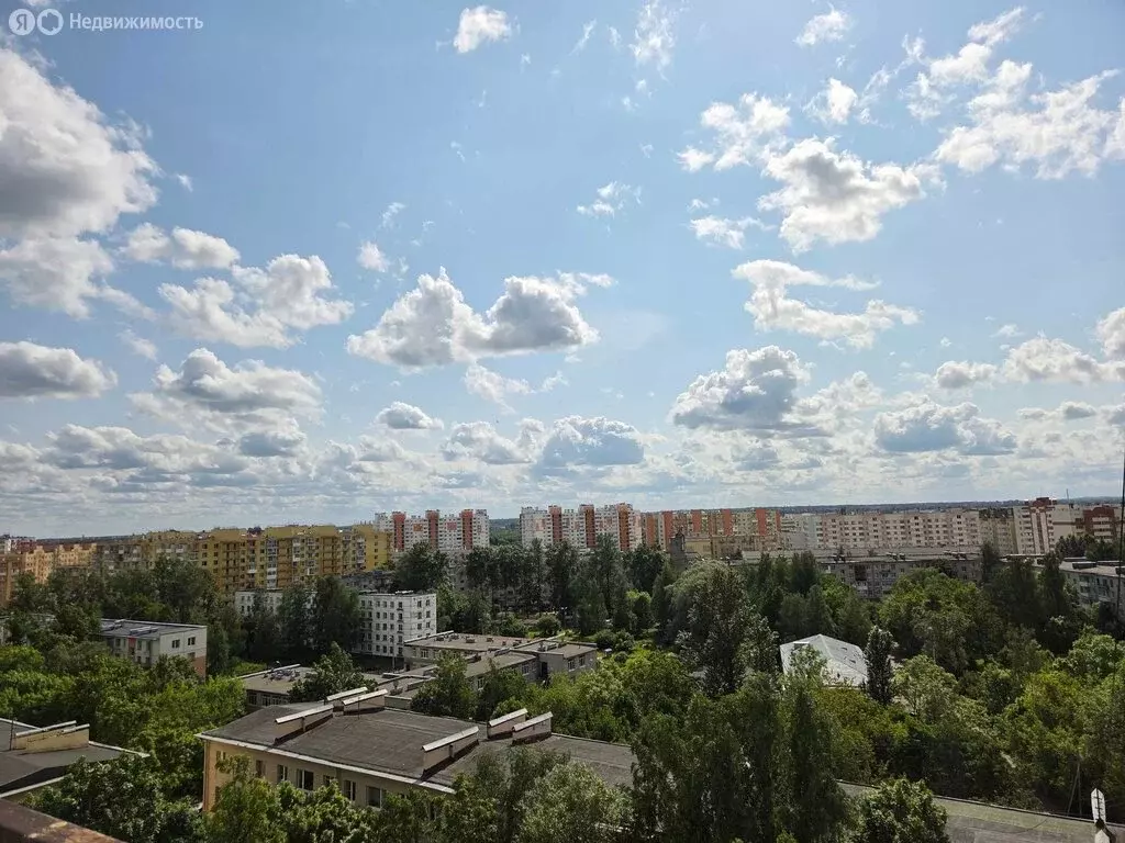 Квартира-студия: посёлок Шушары, Московское шоссе, 246 (25 м) - Фото 1
