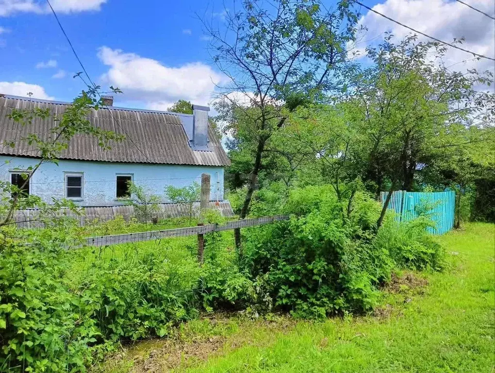 Дом в Калужская область, пос. Ферзиково пер. Самсонова, 10 (76 м) - Фото 2