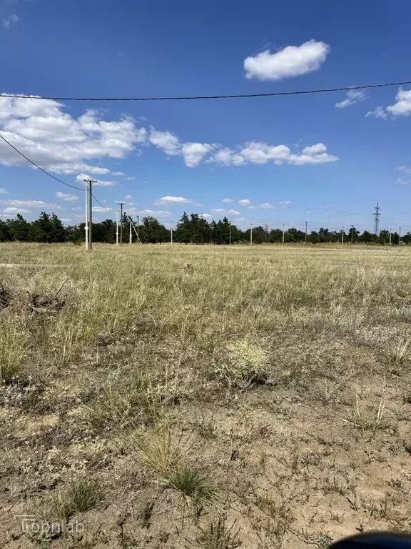 Участок в Волгоградская область, Городищенский район, Царицынское ... - Фото 2