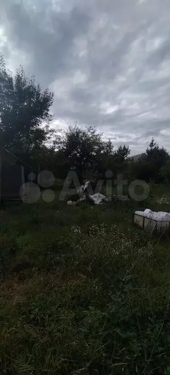 Участок 4,9 сот. (СНТ, ДНП) - Фото 1