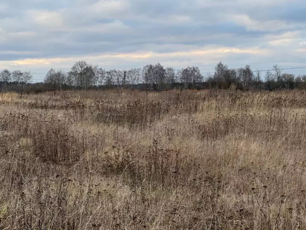 Участок в Московская область, Богородский городской округ, д. Зубцово  ... - Фото 1