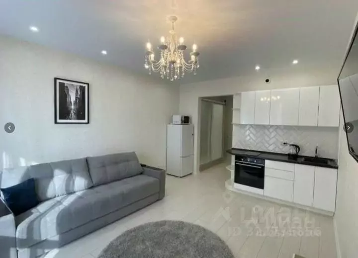 Студия Новосибирская область, Новосибирск Овражная ул., 3 (30.0 м) - Фото 2