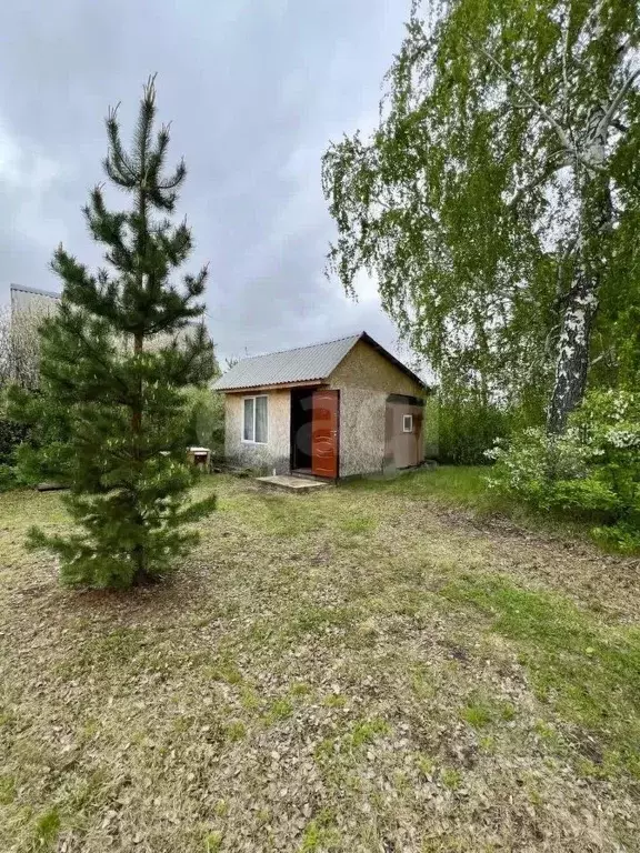 Участок в Курганская область, Кетовский муниципальный округ, Надежда ... - Фото 1