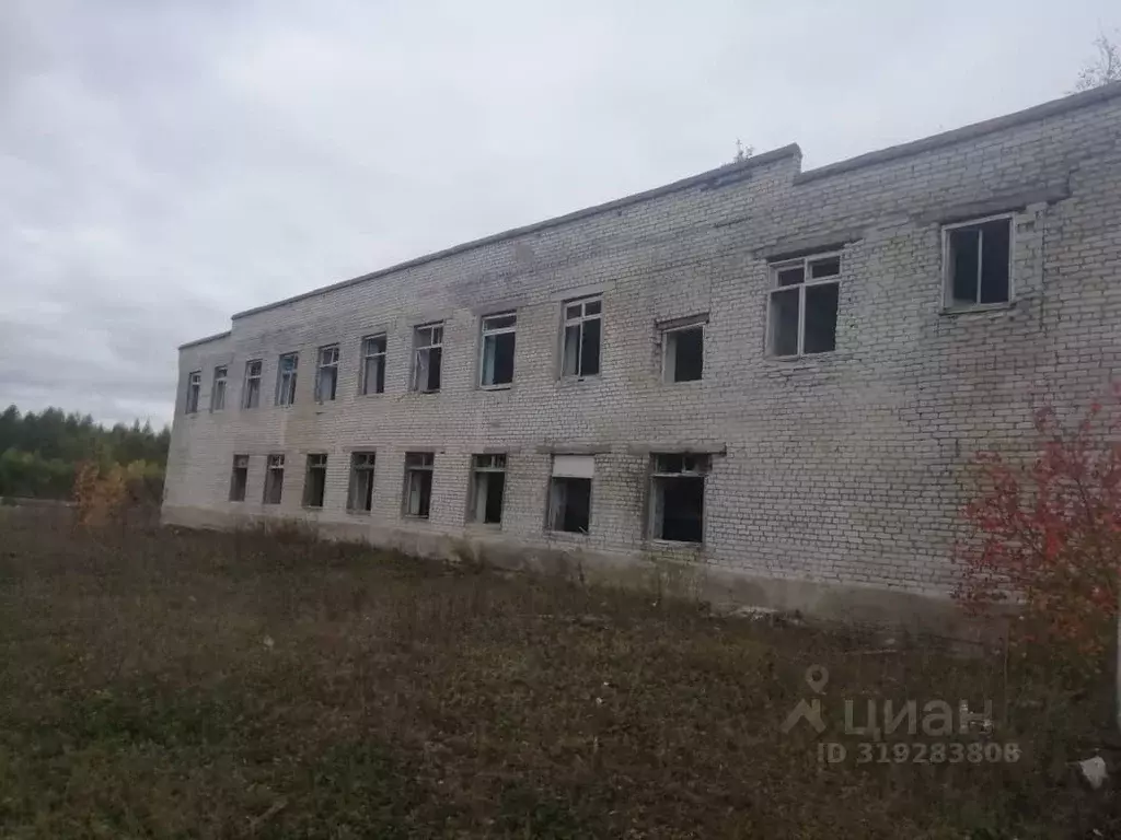 Помещение свободного назначения в Амурская область, Сковородинский ... - Фото 1