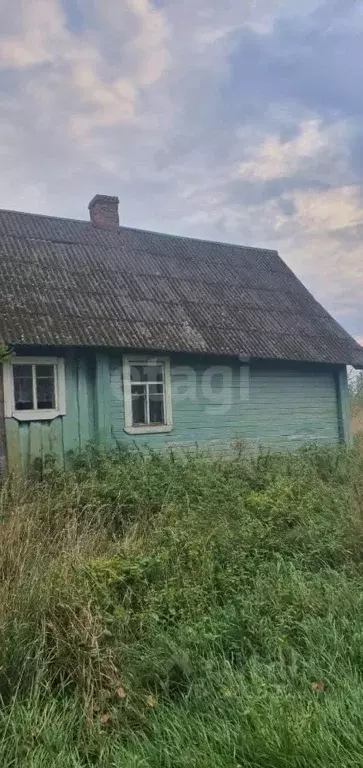 Дом в Псковская область, Печорский муниципальный округ, д. Дальнево  ... - Фото 1