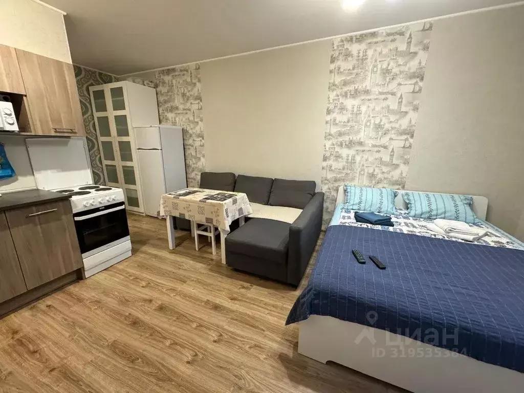 Студия Новосибирская область, Новосибирск ул. Фрунзе, 49 (30.0 м) - Фото 0
