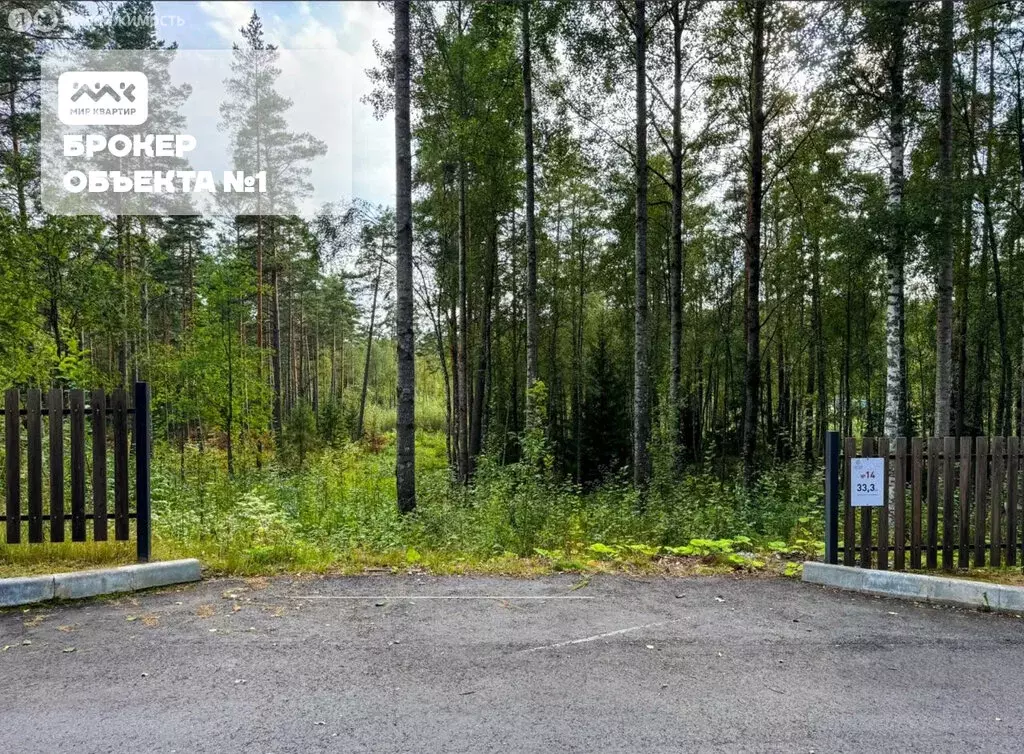 Участок в Приозерский район, Раздольевское сельское поселение, деревня ... - Фото 1