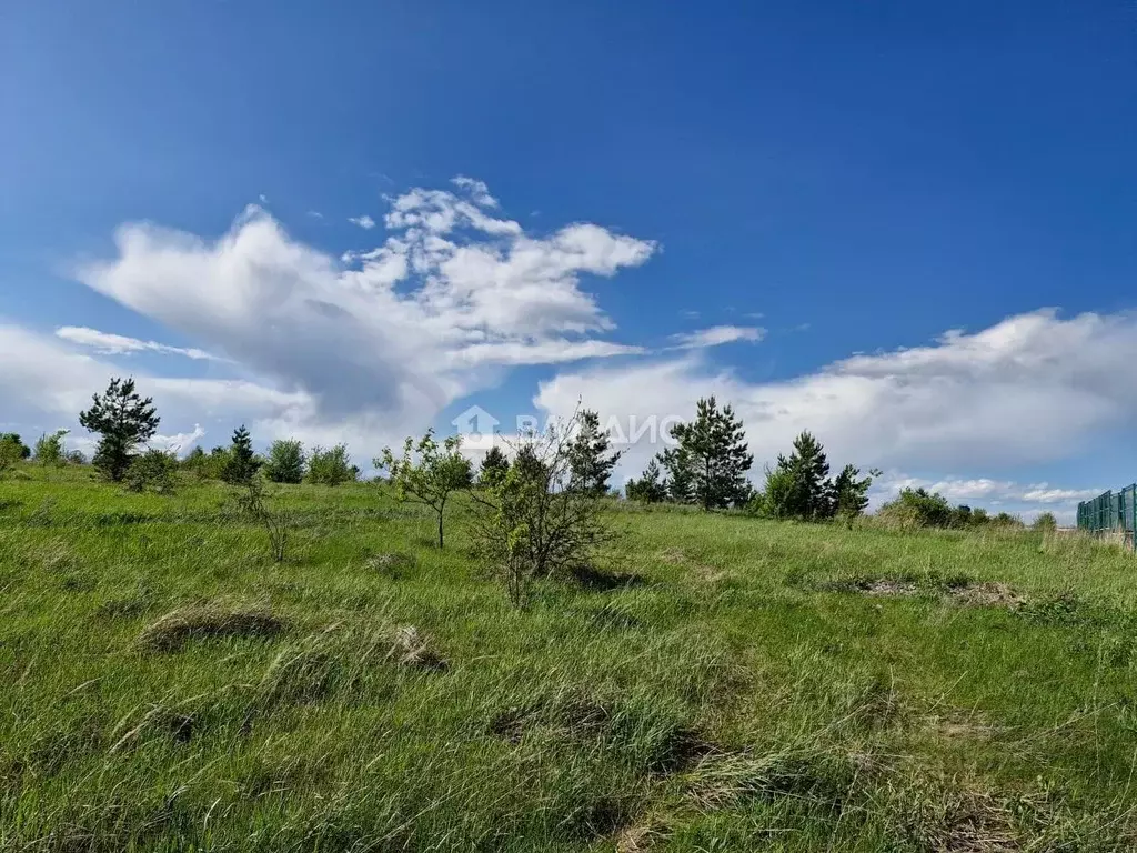 Участок в Пензенская область, Пенза пос. Совхоз Заря,  (8.0 сот.) - Фото 1