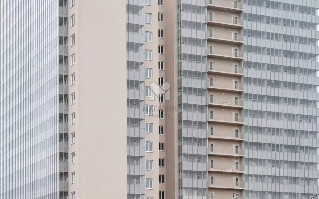 Торговая площадь в Ленинградская область, Всеволожский район, ... - Фото 2