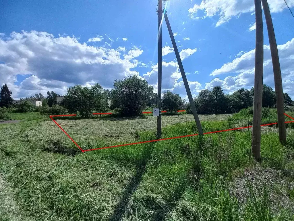 Участок в Ленинградская область, Приозерский район, Ромашкинское ... - Фото 0