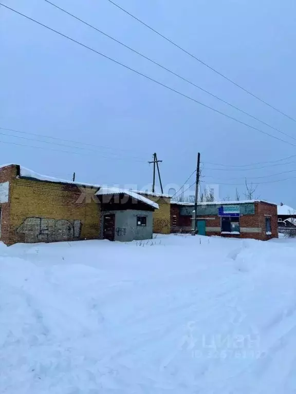 Помещение свободного назначения в Томская область, с. Кожевниково ул. ... - Фото 1