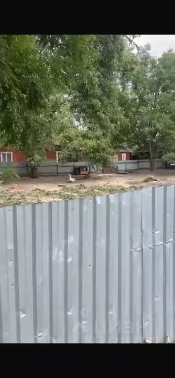 Участок в Чеченская республика, Грозный пос. Имени Жамалайли ... - Фото 1