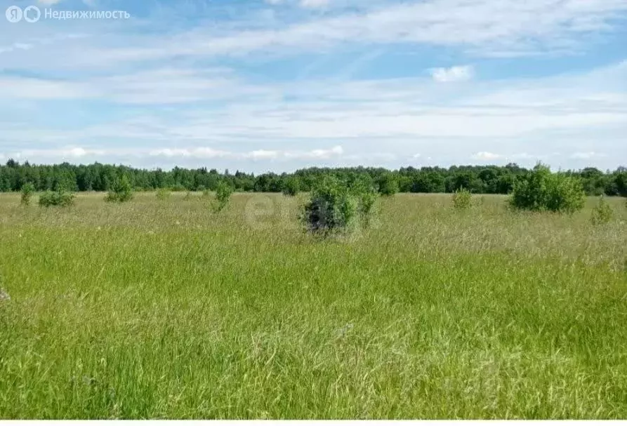 Участок в Морозовский сельсовет, дачное некоммерческое товарищество ... - Фото 1