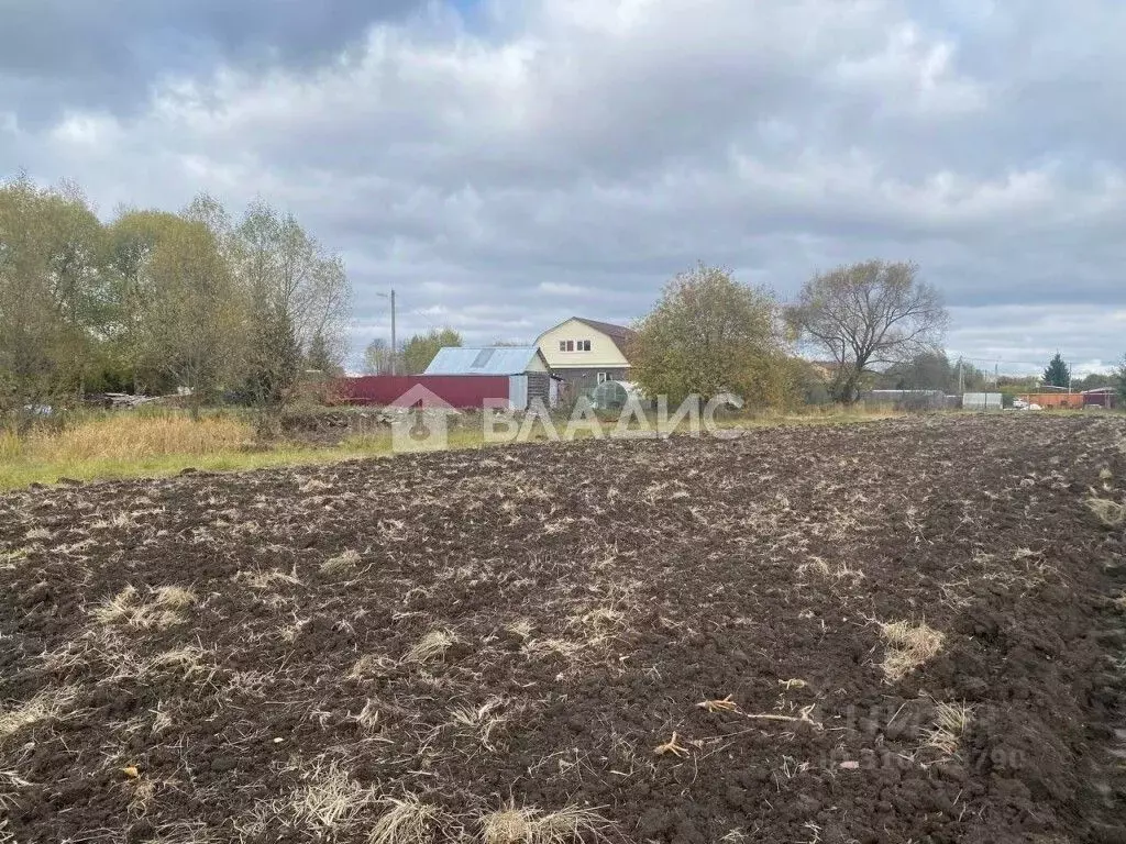 Участок в Владимирская область, Суздальский район, с. Новоалександрово ... - Фото 1