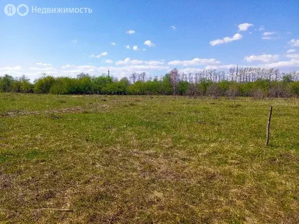 Участок в Белорецк, Николаевский переулок (10 м) - Фото 2