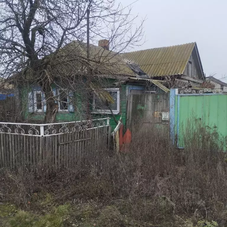 Дом в Воронежская область, Бутурлиновский район, Колодеевское с/пос, ... - Фото 2