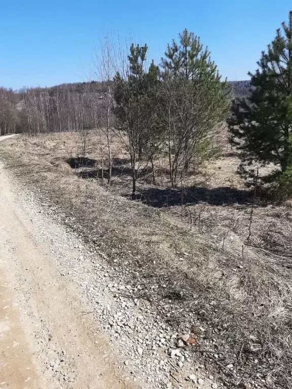 Участок в Калужская область, Город Калуга городской округ, д. Матюнино ... - Фото 1