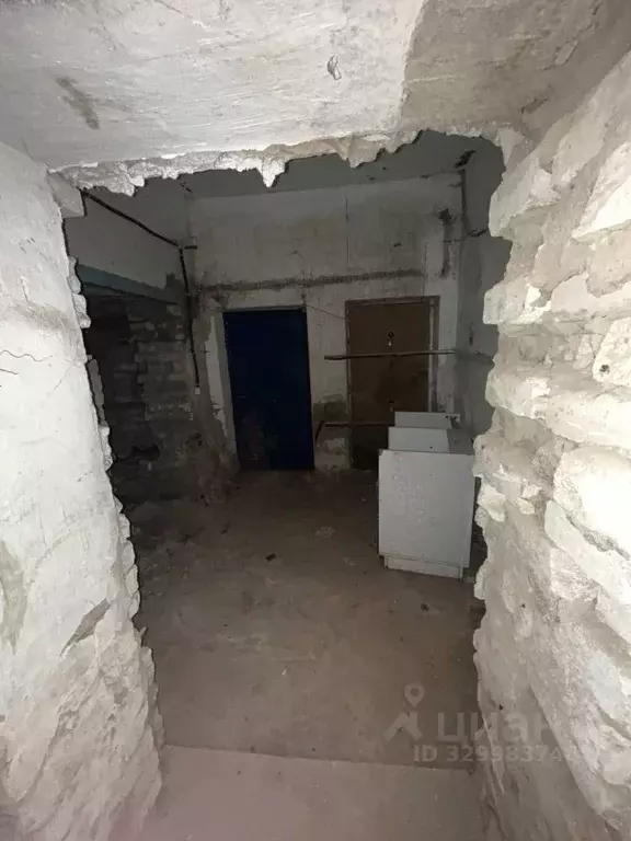 Помещение свободного назначения в Кировская область, Киров ул. Молодой ... - Фото 1