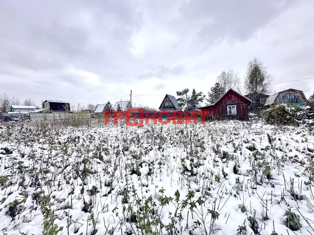 Участок в Новосибирская область, Искитимский район, Мичуринский ... - Фото 2