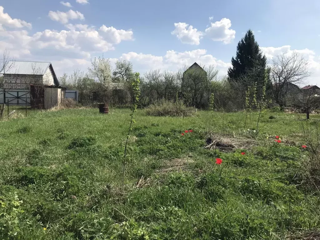 Участок в Тамбовская область, Тамбов Березка-2 СНТ,  (6.0 сот.) - Фото 1