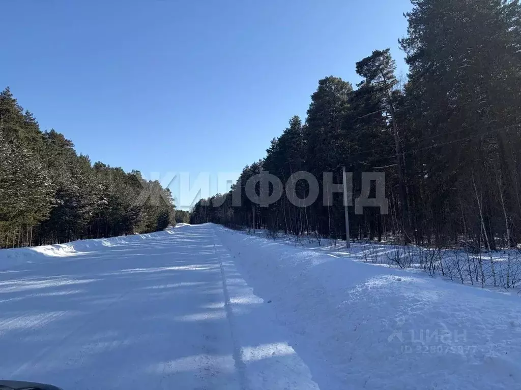 Дом в Новосибирская область, Мошковский район, с. Дубровино ... - Фото 2