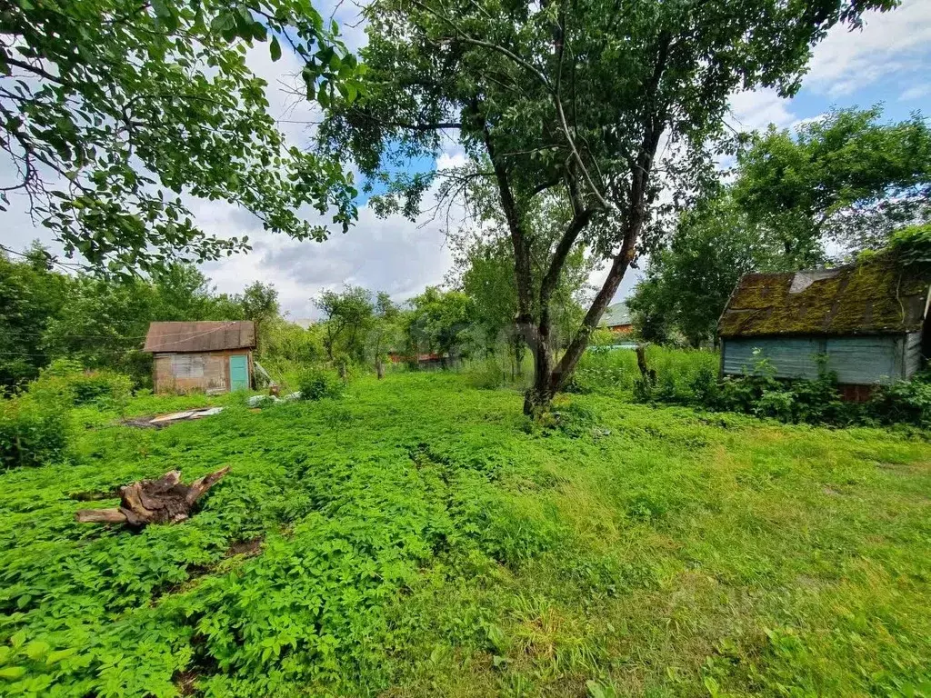Участок в Брянская область, Брянск Коммунальник садовое общество,  ... - Фото 1