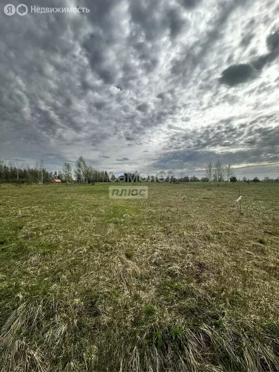 Участок в Орехово-Зуевский городской округ, деревня Грибчиха (10 м) - Фото 0