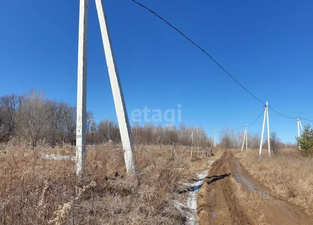 Участок в Амурская область, Благовещенский район, Березка СТ  (6.0 ... - Фото 1