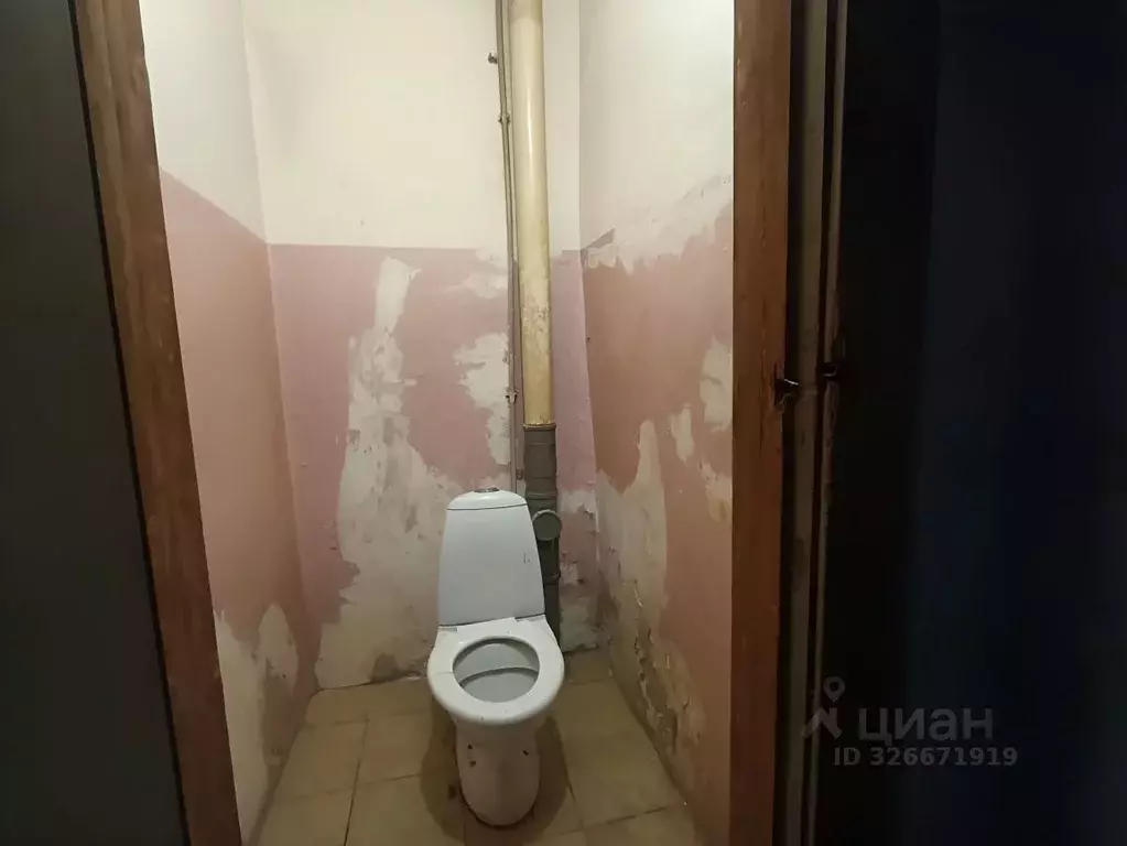 Комната Санкт-Петербург просп. Римского-Корсакова, 65/11 (12.4 м) - Фото 2