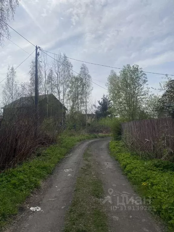 Участок в Ленинградская область, Никольское Тосненский район, Сокол-1 ... - Фото 1