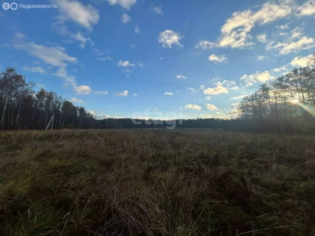 Участок в Московская область, городской округ Серпухов, деревня ... - Фото 1