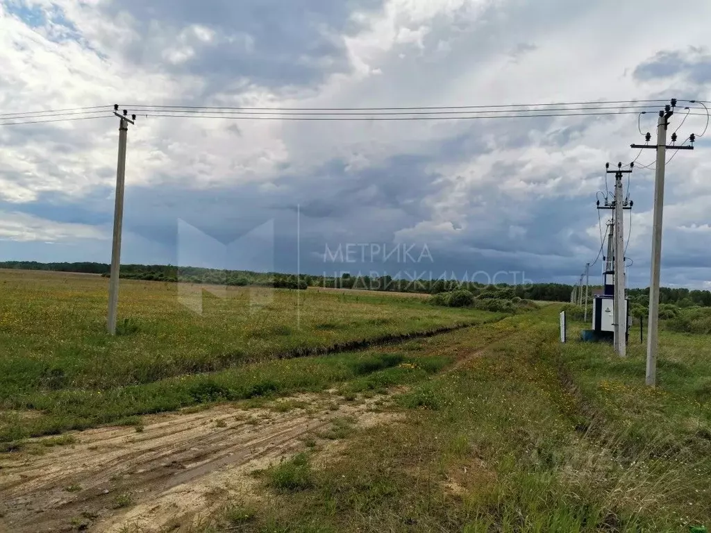 Участок в Тюменская область, Тюменский муниципальный округ, с. Кулига ... - Фото 1