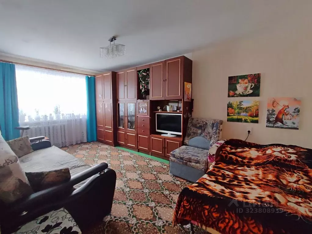 1-к кв. Кировская область, Киров Советская ул., 75 (29.8 м) - Фото 2