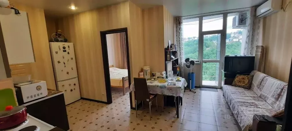 Студия Краснодарский край, Сочи Вишневый пер., 85Б (30.0 м) - Фото 1