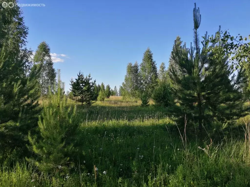 Участок в Нижегородская область, Сосновский муниципальный округ, ... - Фото 0