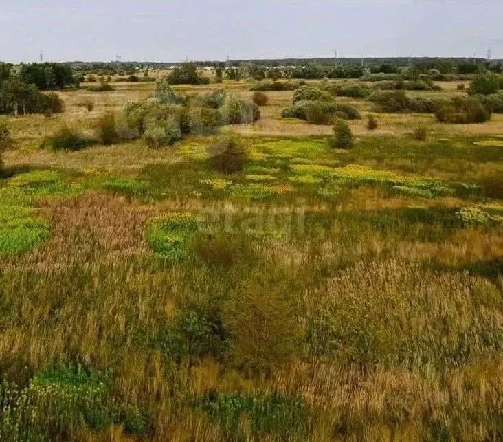 Участок в Калининградская область, Зеленоградский муниципальный округ, ... - Фото 1
