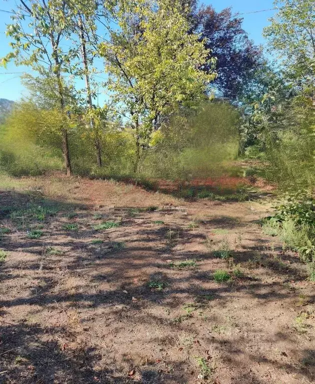 Участок в Ростовская область, Новочеркасск № 2 АО Магнит садовое ... - Фото 1