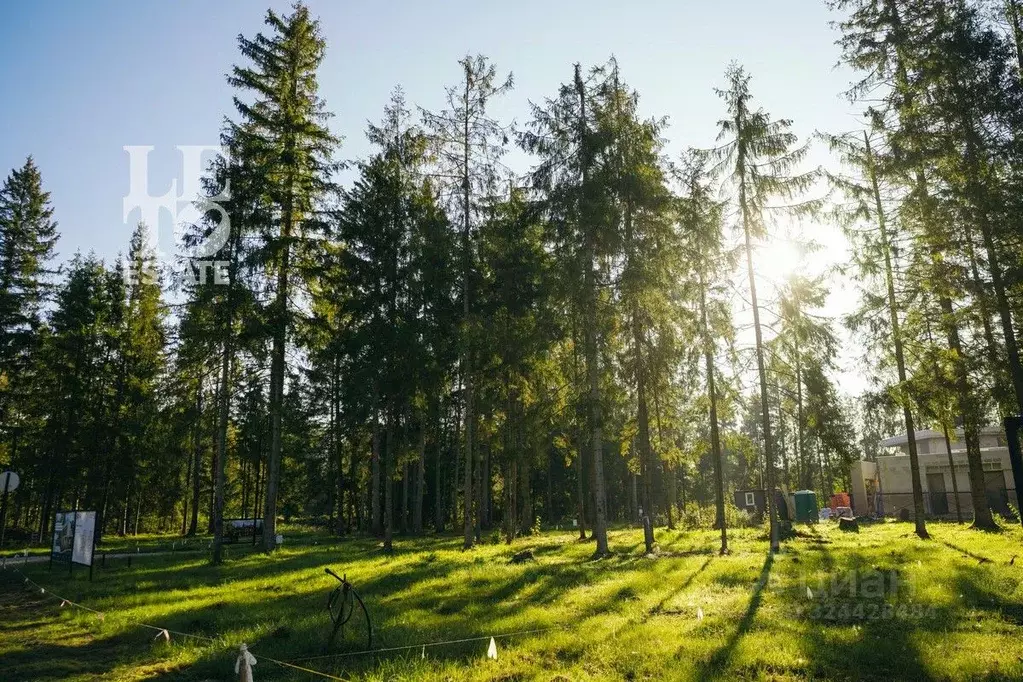 Участок в Московская область, Клин городской округ, Ели Эстейт ... - Фото 1