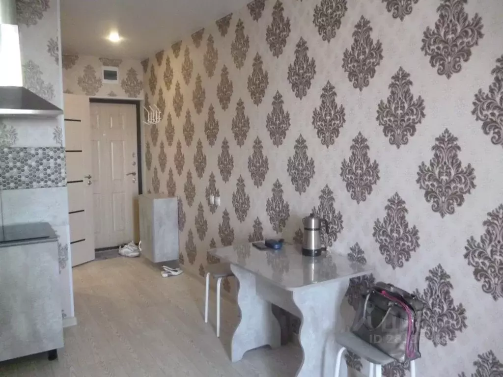 1-к кв. Алтайский край, Барнаул Песчаная ул., 190 (25.0 м) - Фото 2