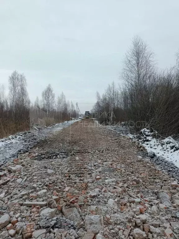 Участок в Тюменская область, Нижнетавдинский муниципальный округ, ... - Фото 1