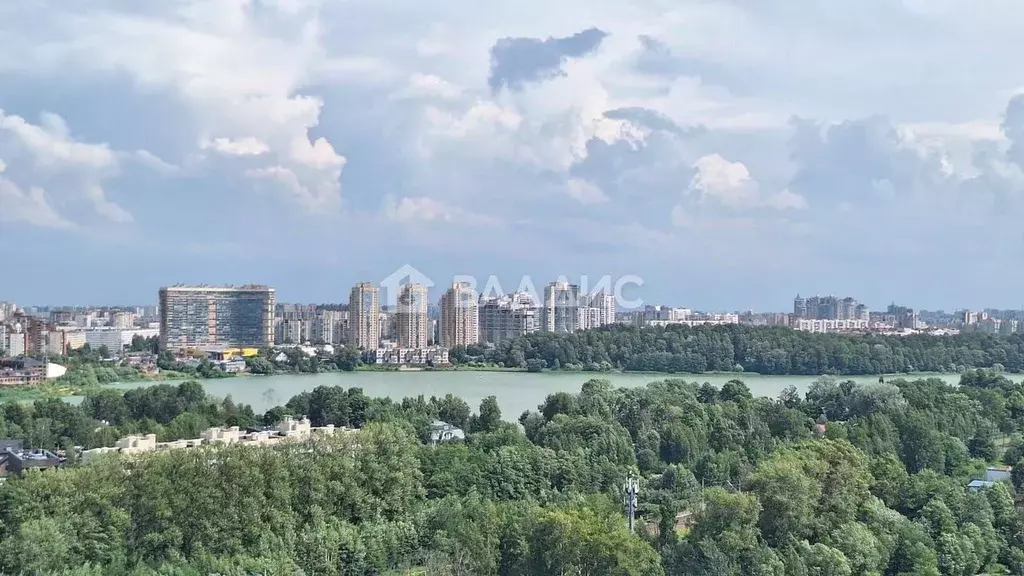 Студия Санкт-Петербург ш. Суздальское, 18к4 (23.6 м) - Фото 1