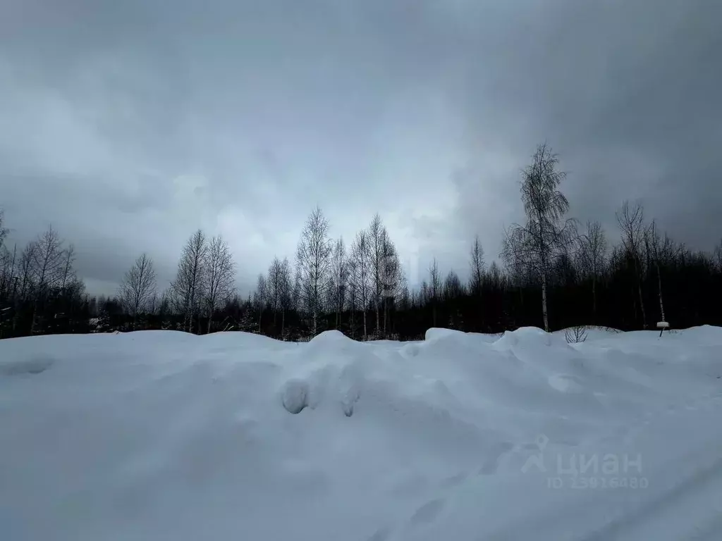 Участок в Пермский край, Добрянский городской округ, д. Залесная ул. ... - Фото 0