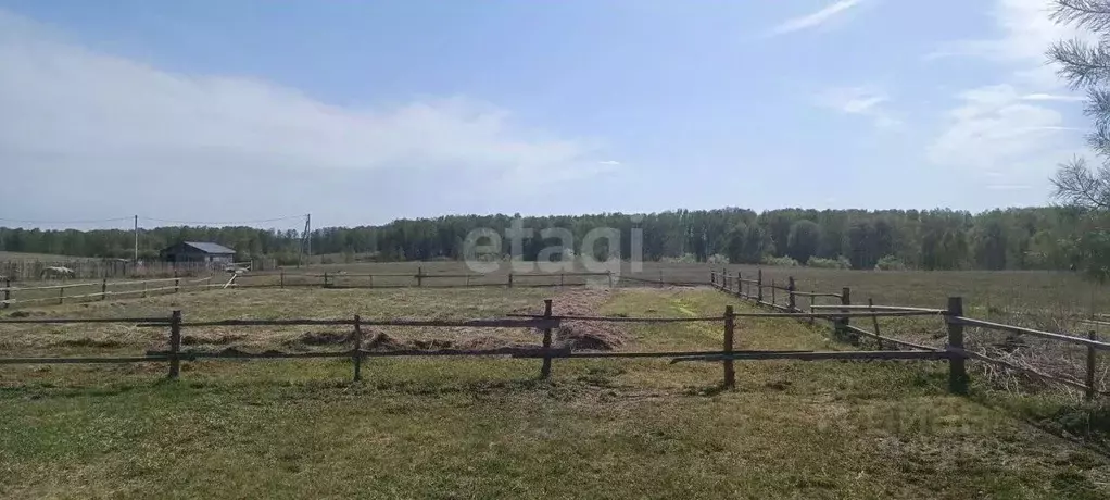 Участок в Новосибирская область, Искитимский район, с. Быстровка ... - Фото 0