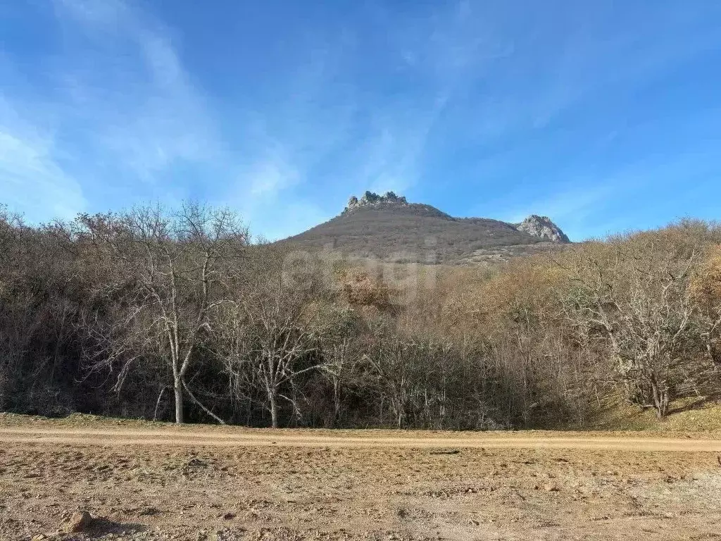 Участок в Крым, Алушта муниципальный округ, с. Лучистое пер. Сливовый ... - Фото 1
